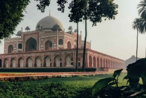 Delhi: Privat guidet byoplevelse i det gamle og nye Delhi