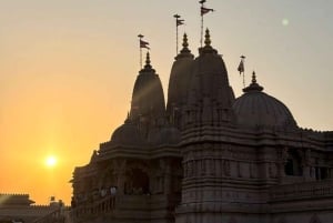 Halvdagsomvisning i New Delhi: templer og monumenter