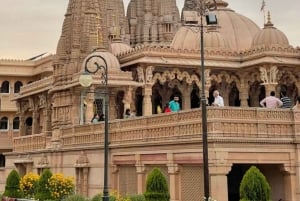 Halvdagsomvisning i New Delhi: templer og monumenter