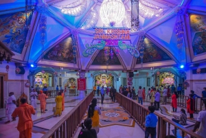 New Delhi: Delhin yönäkymä - 4 tuntia