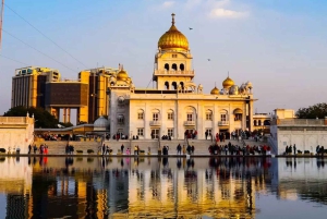 New Delhi: Delhin yönäkymä - 4 tuntia