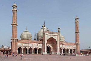 Nueva Delhi: Antigua y Nueva Delhi Tour privado de día completo