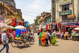 New Delhi : Visite touristique de la ville de Delhi en voiture (une journée)
