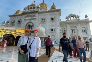 New Delhi : Visite touristique de la ville de Delhi en voiture (une journée)