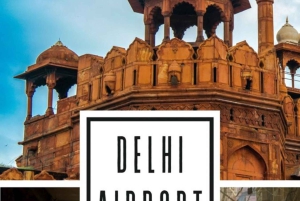 From Delhi: Sunrise Taj Mahal & Agra Day Trip With 5* Lunch