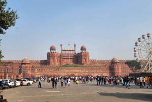 Nuova Delhi: Tour privato di un giorno intero della Vecchia e Nuova Delhi con guida