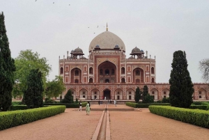 Nuova Delhi: Tour privato di un giorno intero della Vecchia e Nuova Delhi con guida