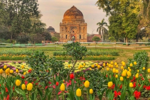 Delhi: Excursão de meio dia a Delhi com guia e carro AC