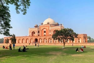 New Delhi: Privat heldagsutflukt til gamlebyen og New Delhi
