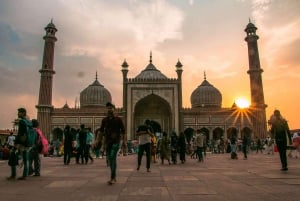 New Delhi: Privat heldagsutflukt til gamlebyen og New Delhi