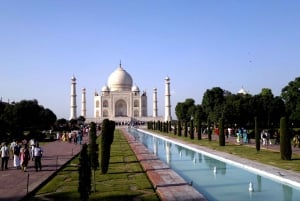 New Delhi: Privat tur til Taj Mahal og Agra-høydepunkter + 5-stjerners lunsj