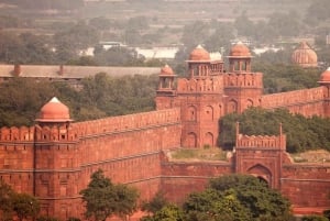 Nuova Delhi: biglietto d'ingresso al Forte Rosso con opzioni extra