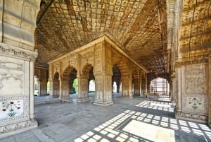 Nuova Delhi: biglietto d'ingresso al Forte Rosso con opzioni extra