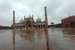 New Delhi : Fort Rouge, Jama Masjid et Chandni Chowk, avec déjeuner