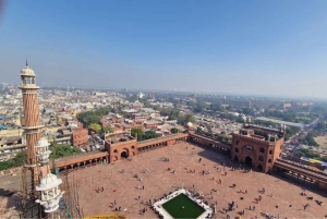 New Delhi : Fort Rouge, Jama Masjid et Chandni Chowk, avec déjeuner