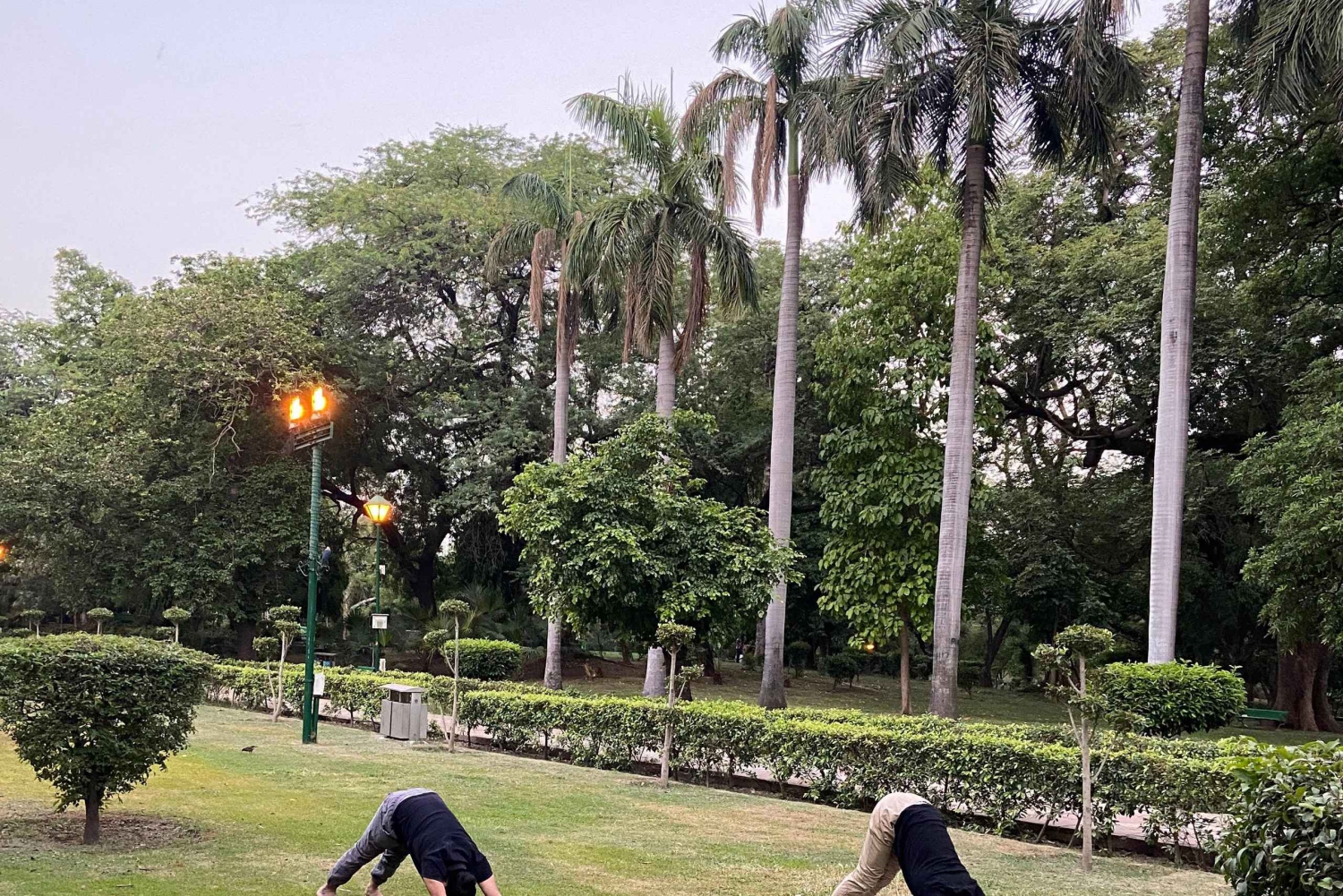 Neu-Delhi: Seelenberuhigendes Sonnen-Yoga in den Lodhi-Gärten