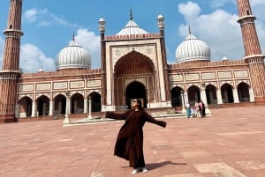 Uusi-Delhi: koko päivän kiertoajelu Akshardhamin temppeliin