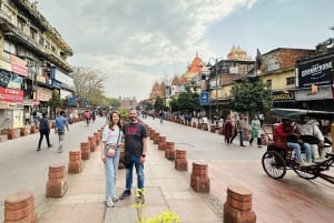 Ny och gammal Delhi privat heldagsutflykt med guide och transfer