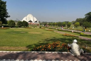 Ny och gammal Delhi privat heldagsutflykt med guide och transfer