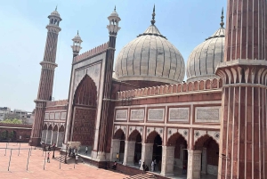 Ny och gammal Delhi privat heldagsutflykt med guide och transfer