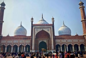 Delhi: Old og New Delhi - hel- eller halvdagstur privat tur