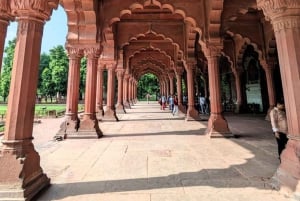 Delhi: Old og New Delhi - hel- eller halvdagstur privat tur