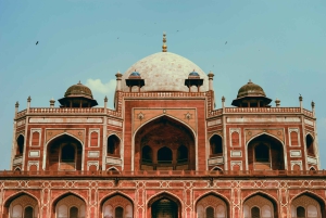 Vieja y Nueva Delhi: Visita privada de 8 horas por la ciudad