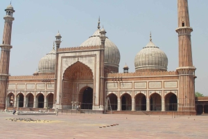 Vieja y Nueva Delhi: Visita privada de 8 horas por la ciudad