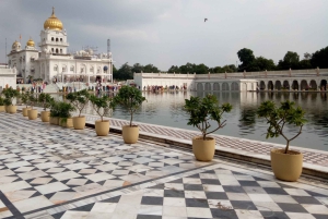 Vieja y Nueva Delhi: Visita privada de 8 horas por la ciudad