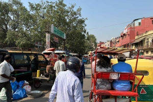 Tour Privado de un Día por la Ciudad Vieja y Nueva Delhi - 4 a 8 Horas