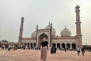 Vanha ja uusi Delhi Yksityinen päiväretki - 4 - 8 tuntia