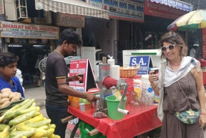 Delhi: tour privado de medio día o día completo con paseo en Tuktuk