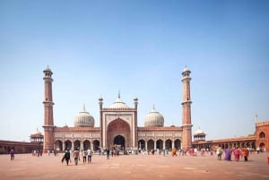 Delhi: Private Guided Day Tour of Old & New Delhi