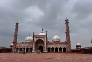 Old and New Delhi Private City Tour
