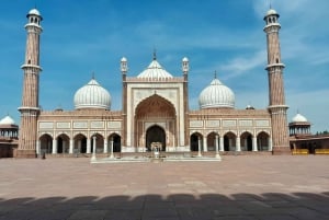 Old and New Delhi Private City Tour