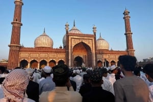 Old and New Delhi Private City Tour