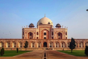 Tour privado de la ciudad de Nueva y Vieja Delhi, de día completo o medio día