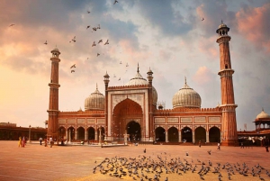 Old and New Delhi Private Full or Half-Day City Tour