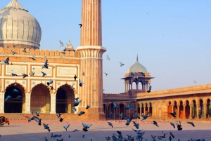 Oud en Nieuw Delhi Privé Tour van een hele of halve dag tot 8 uur