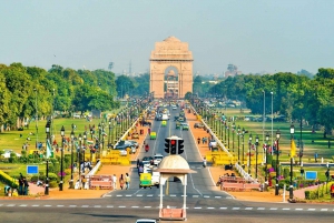 Tour privato di mezza giornata o di tutta la vecchia e nuova Delhi