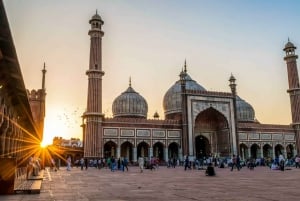 Vieja y Nueva Delhi: Visita turística privada de la UNESCO