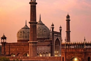 Vieja y Nueva Delhi: Visita turística privada de la UNESCO
