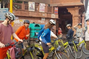 Vieux Delhi : excursion à vélo en petit groupe de 3,5 heures avec petit-déjeuner