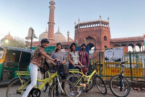 Vieux Delhi : excursion à vélo en petit groupe de 3,5 heures avec petit-déjeuner