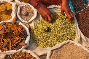 Vieja Delhi: Excursión Privada de 3 Horas en Tuk-Tuk/Rickshaw