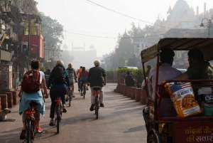 Old Delhi Bike Tour Aamulla 4 tuntia: Delhi Pyörällä