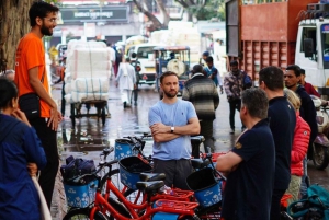 Old Delhi Bike Tour Morning 4 Hours: Delhi de bicicleta