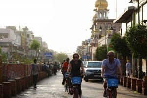 Old Delhi sykkeltur morgen 4 timer: Delhi på sykkel