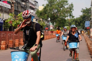 Old Delhi Bike Tour Morning 4 Hours: Delhi de bicicleta