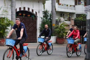 Old Delhi cykeltur morgon 4 timmar: Delhi på cykel